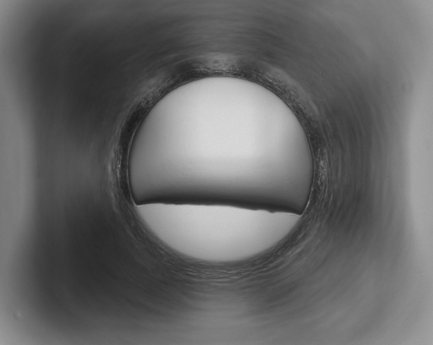 X0000102540739200808081049