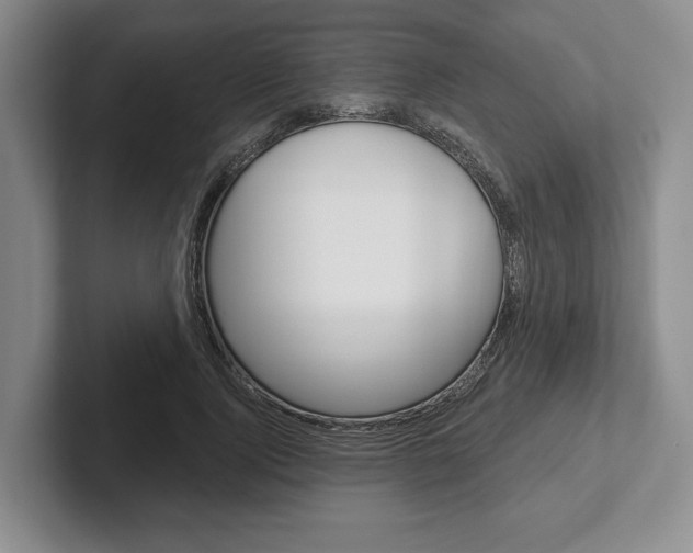 X0000102540740200808081049