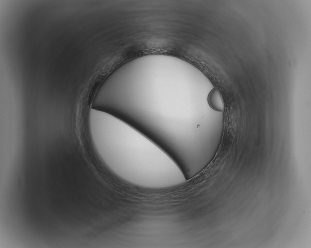 X0000102540742200808081049