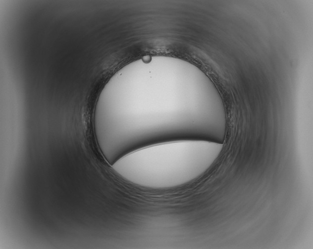 X0000102540747200808081049
