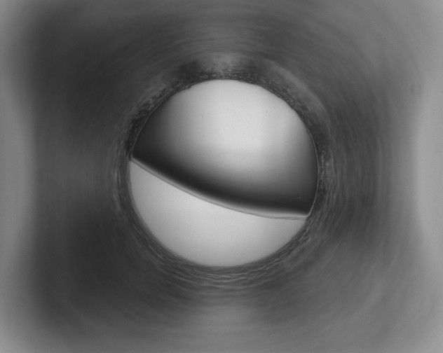 X0000102540750200808081049