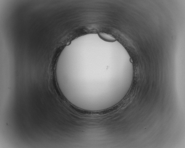 X0000102540751200808081049