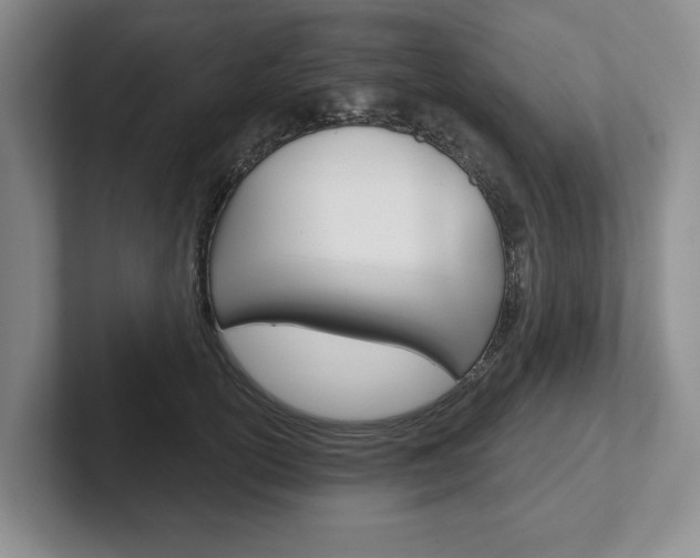 X0000102540754200808081049