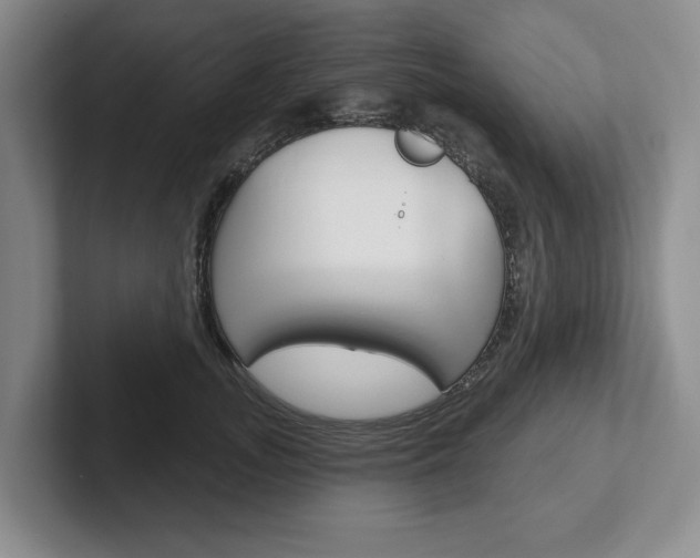 X0000102540755200808081050