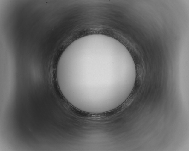 X0000102540758200808081050