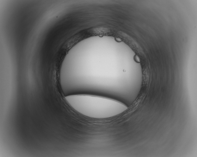 X0000102540762200808081050