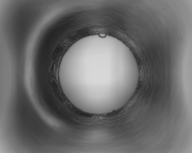X0000102540764200808081050