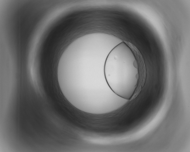 X0000102540766200808081050