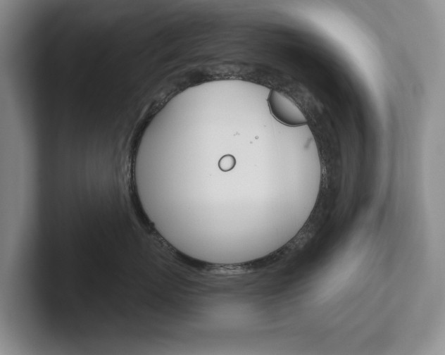 X0000102540767200808081050