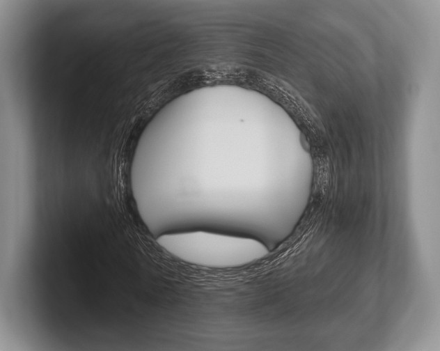 X0000102540770200808081049