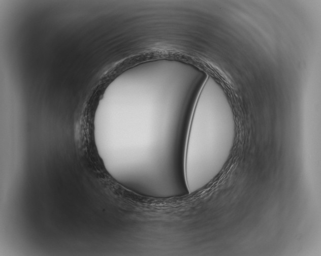 X0000102540776200808081049
