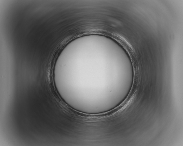 X0000102540777200808081049