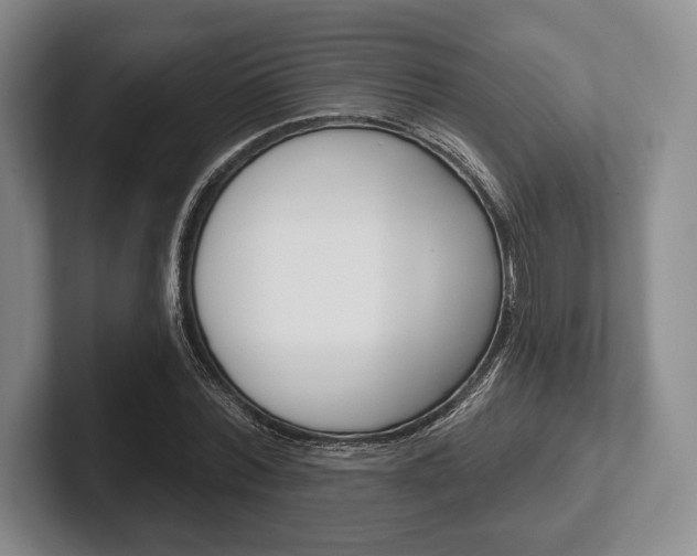X0000102540780200808081049