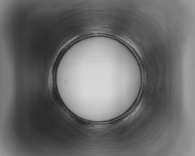 X0000102540782200808081049