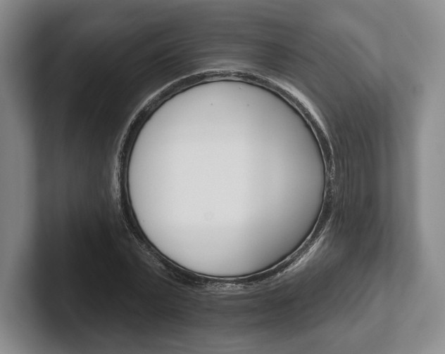 X0000102540783200808081049