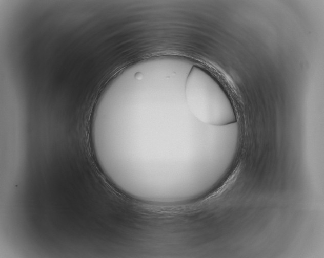 X0000102540785200808081049