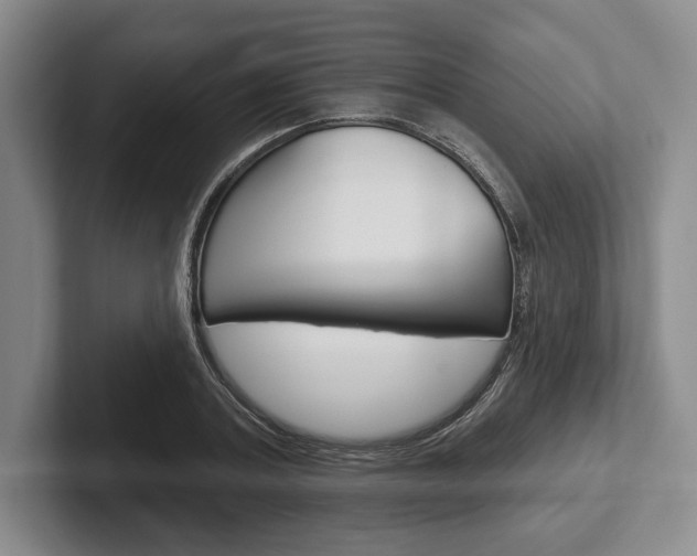 X0000102540787200808081049