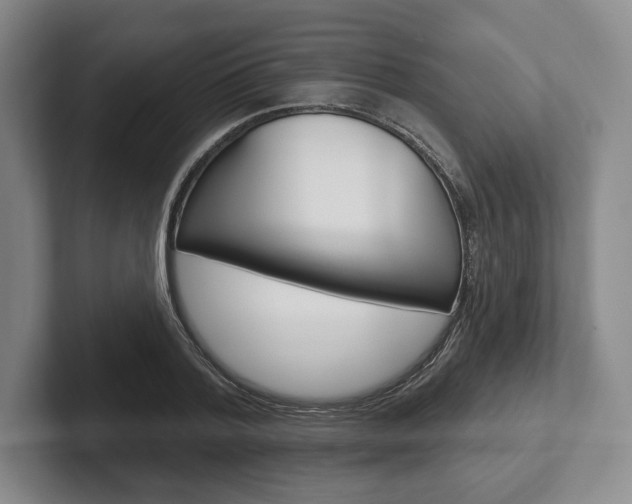 X0000102540788200808081049