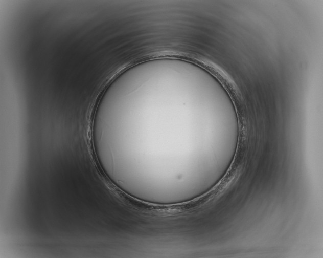 X0000102540793200808081049