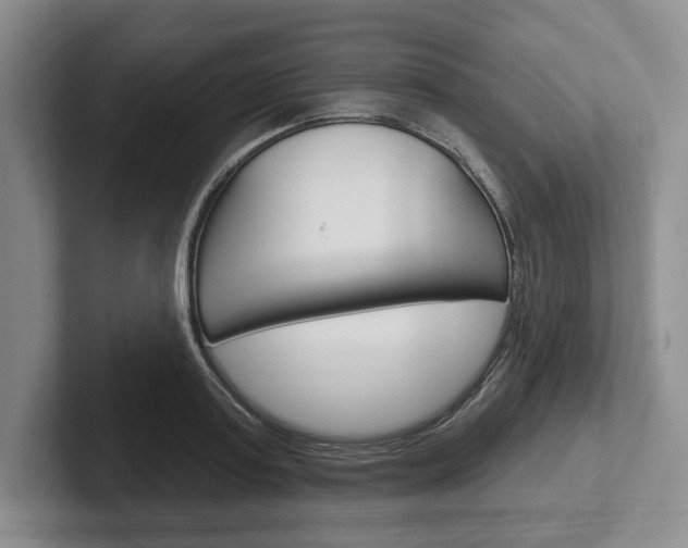 X0000102540795200808081049