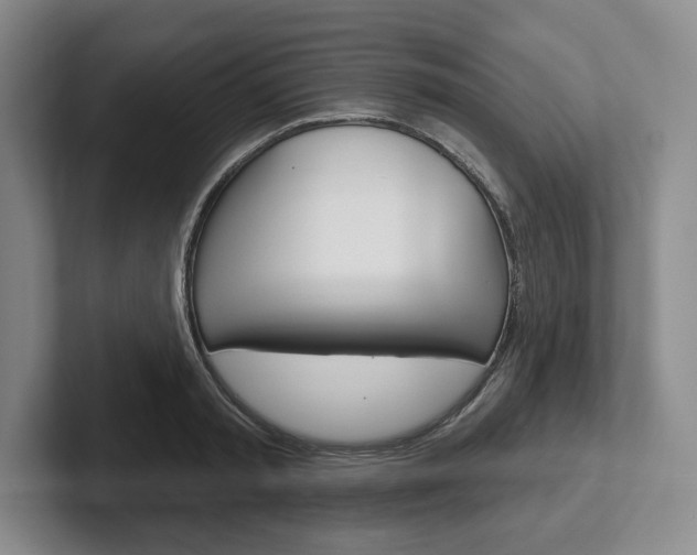 X0000102540797200808081049