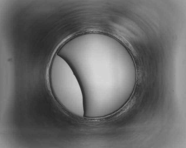 X0000102540798200808081049