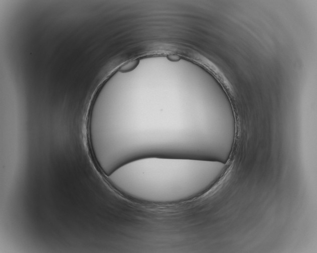 X0000102540802200808081049