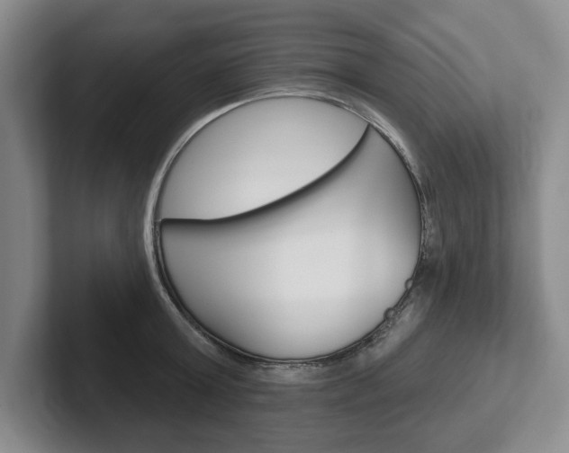 X0000102540803200808081049