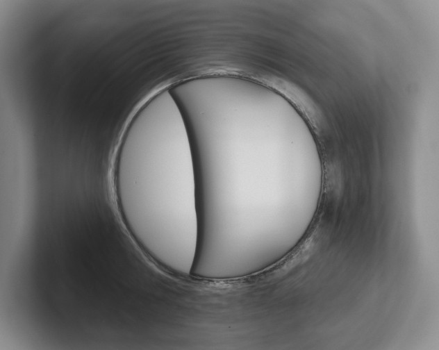 X0000102540806200808081049