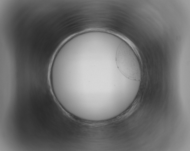 X0000102540807200808081049
