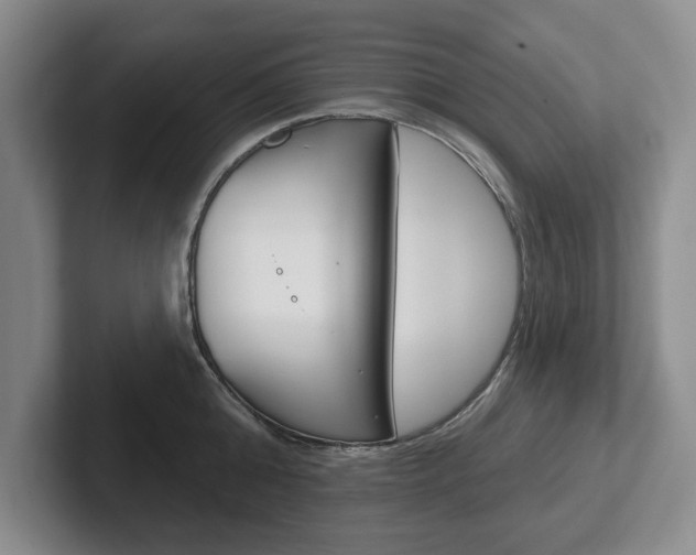 X0000102540808200808081049