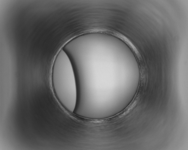 X0000102540810200808081049