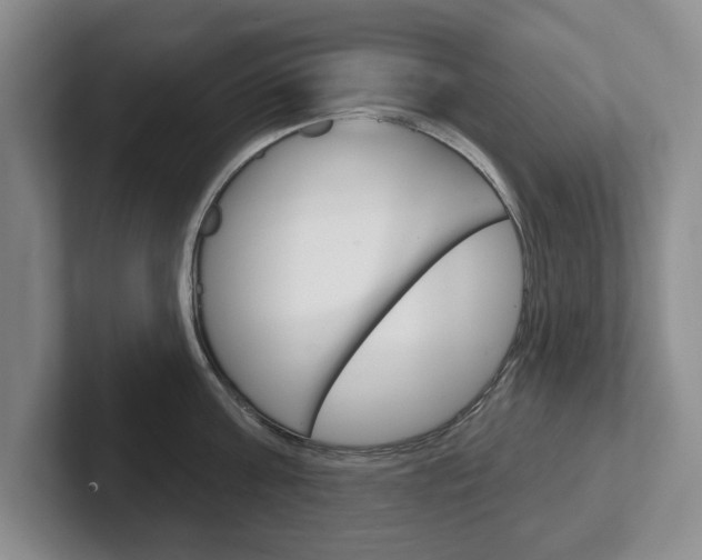 X0000102540811200808081049