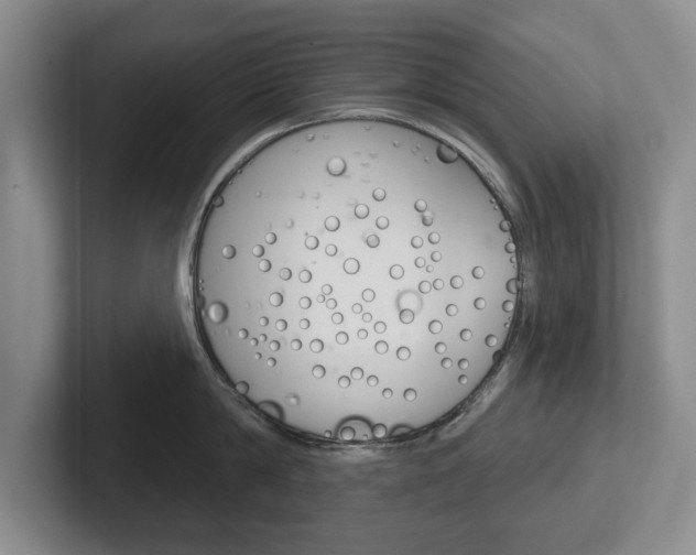 X0000102540814200808081048