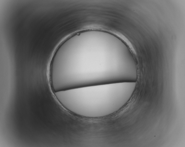 X0000102540815200808081048