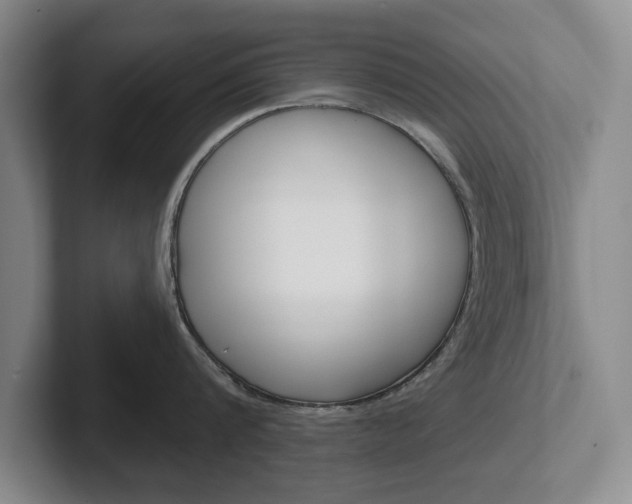 X0000102540816200808081048