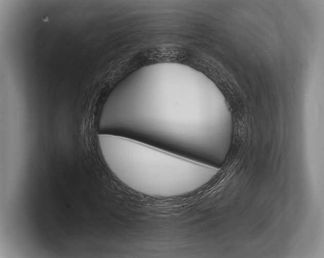 X0000102540818200808081048