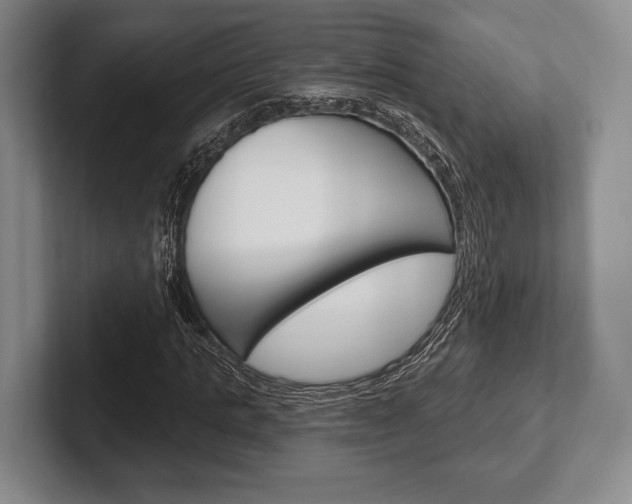 X0000102540821200808081048
