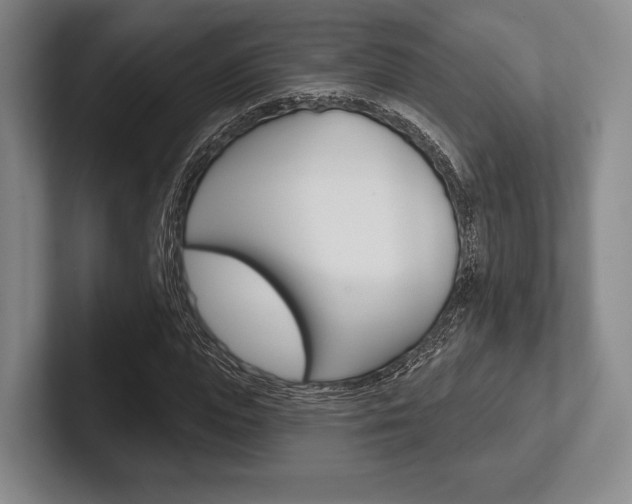 X0000102540823200808081048