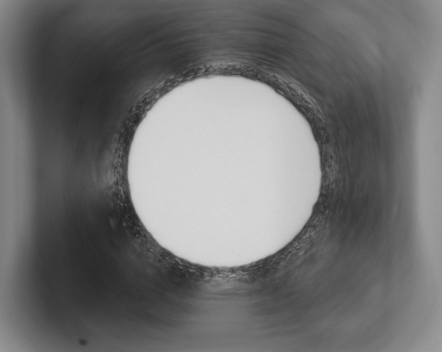 X0000102540824200808081048