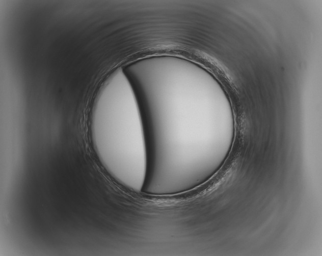 X0000102540825200808081048