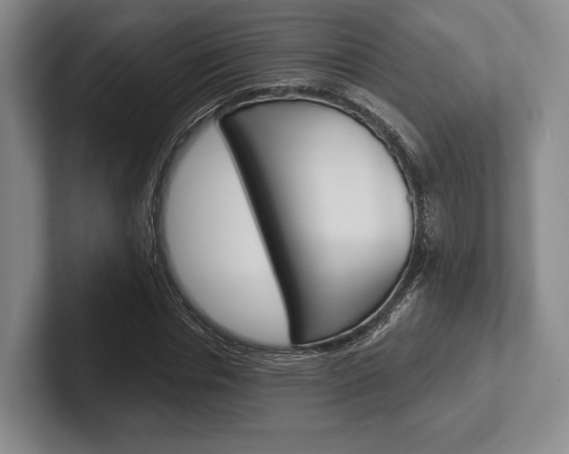 X0000102540826200808081048