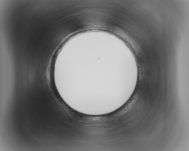 X0000102540828200808081048