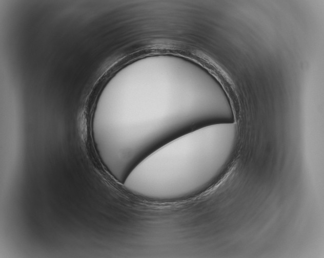 X0000102540829200808081048