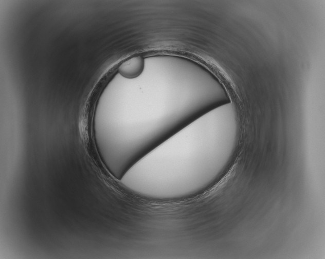 X0000102540830200808081048