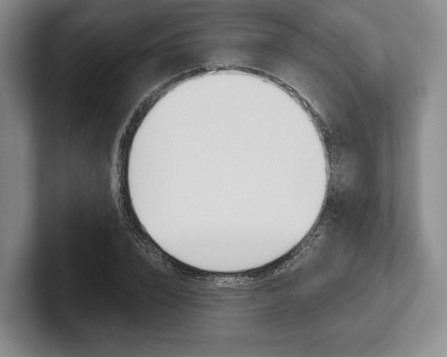 X0000102540832200808081048