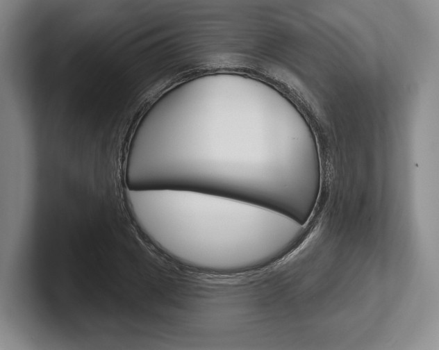 X0000102540833200808081048