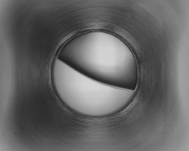 X0000102540834200808081048