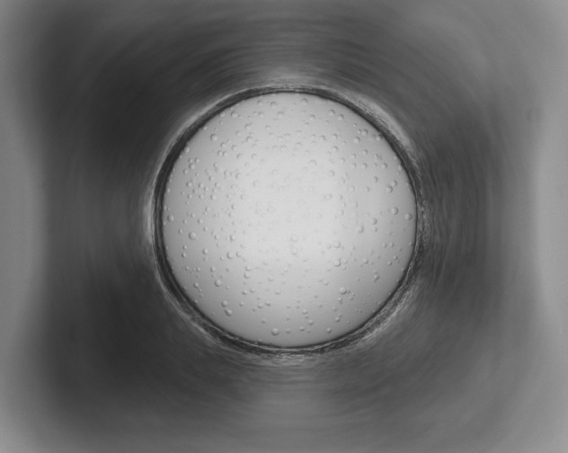 X0000102540839200808081048