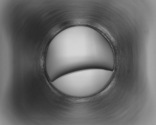 X0000102540841200808081048